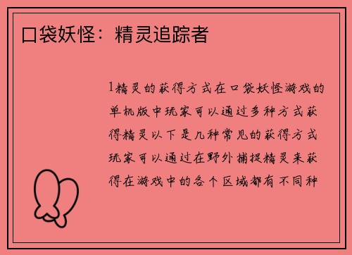 口袋妖怪：精灵追踪者